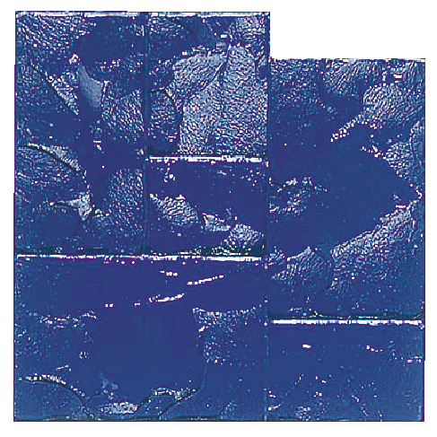Alternate Image 1